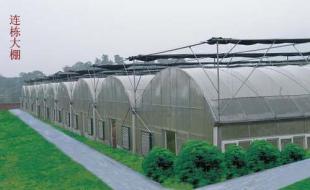 龍巖溫室大棚 科技賦能農副產品，世界工廠網助力產業騰飛