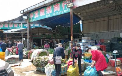 武漢重啟，白沙洲市場重現繁忙景象，采購車流如織保障農副產品供應
